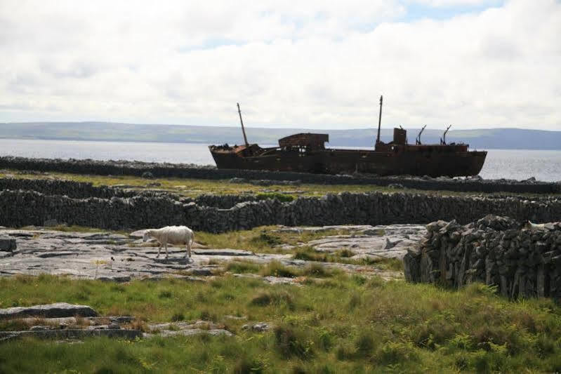 Shamrock Inn Hotel Lahinch Εξωτερικό φωτογραφία